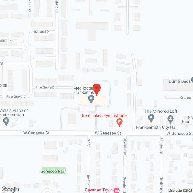Medilodge of Frakenmuth in google map