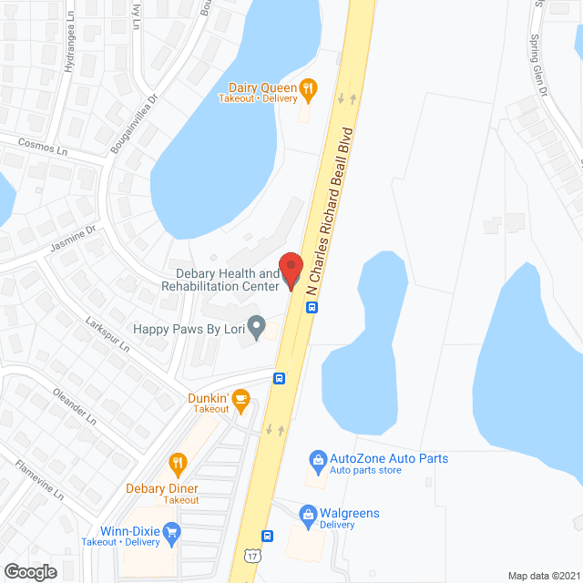 Debary Health & Rehabilitation in google map