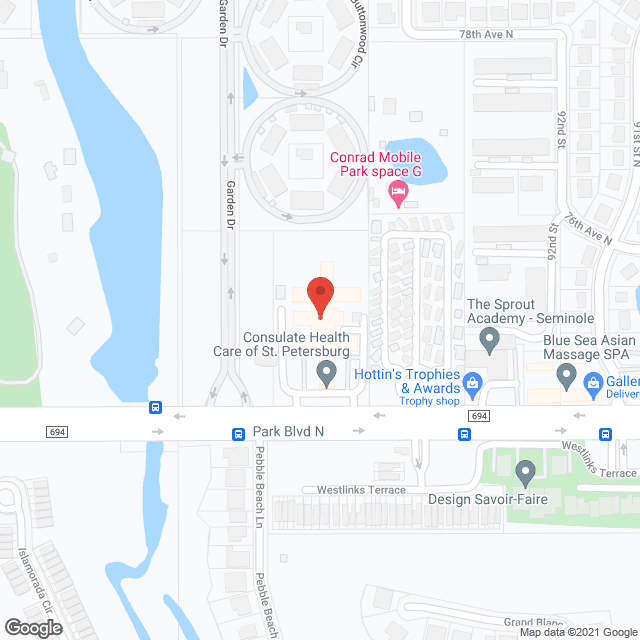 Consulate Health Care in google map