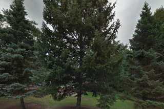 street view of CLA Greendale