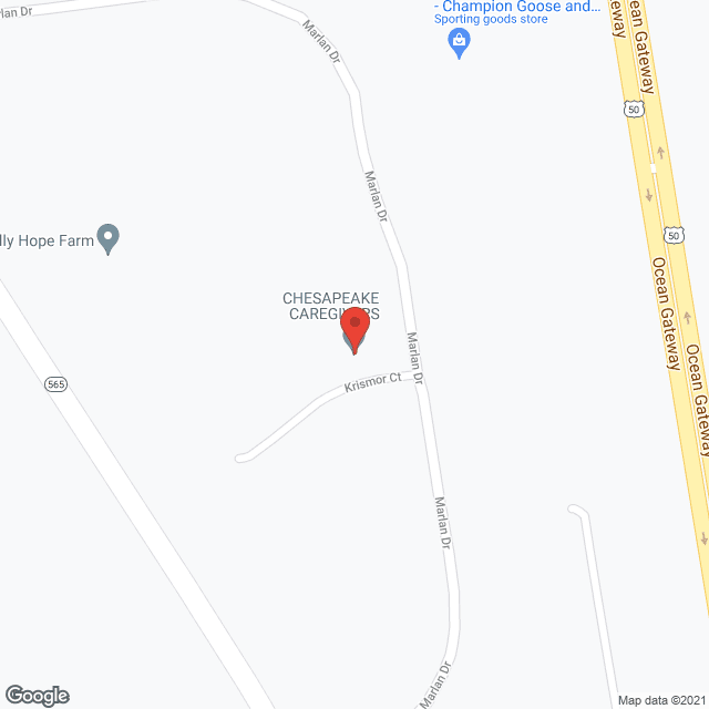 Chesapeake Caregivers Inc in google map