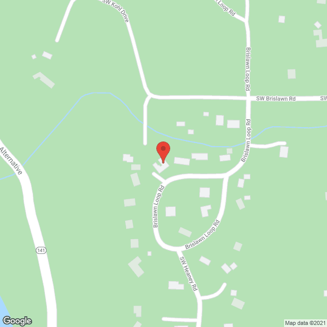 Mt View Residence for Seniors Inc. in google map