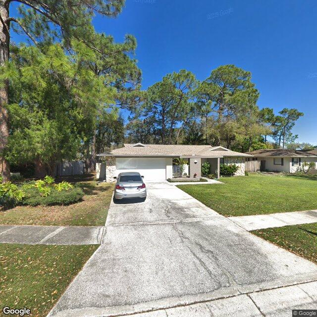 street view of Forest Hills Home at Palm Harbor
