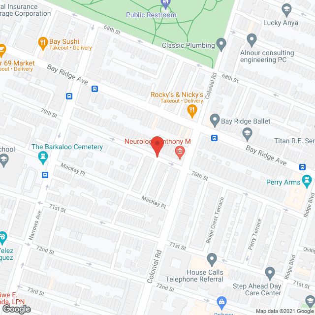 Brooklyn Boulevard ALP in google map
