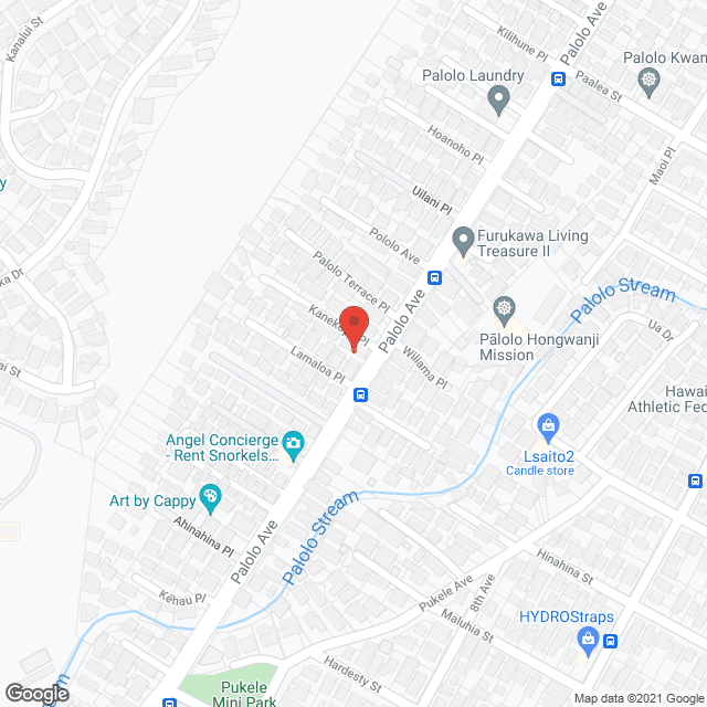 Evergreen in google map