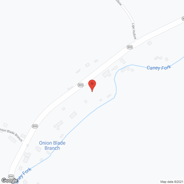 Caney Creek Rehabilitation Complex in google map