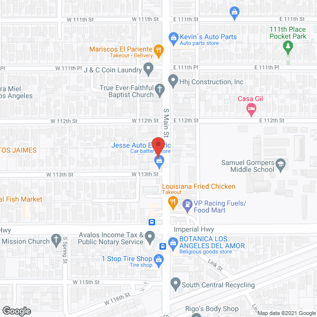 Lifeline Companion Services in google map