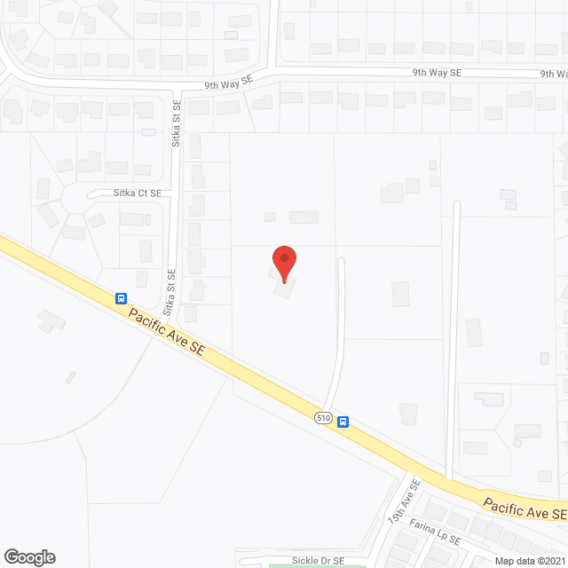 Leonard AFH Services LLC in google map