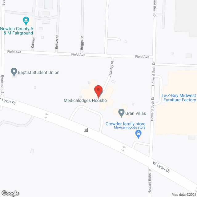 Medicalodges in google map