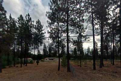 Photo of Chattaroy Pines AFH