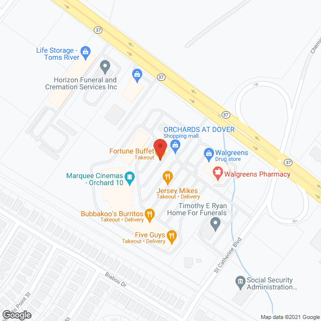 The Regency at Dover in google map