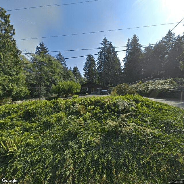 street view of Alpine Adult Family Home