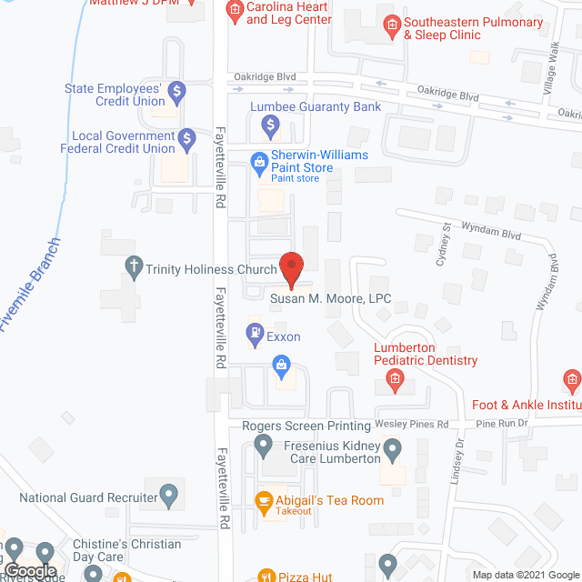 Native Angels Home Care Agency in google map