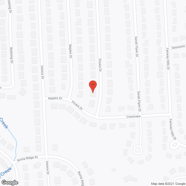 Senior Assistance Svc in google map