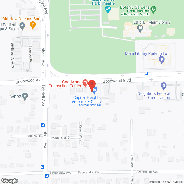 Woman's Hospital Home Health in google map