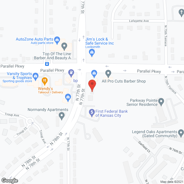 Adult Services Inc in google map