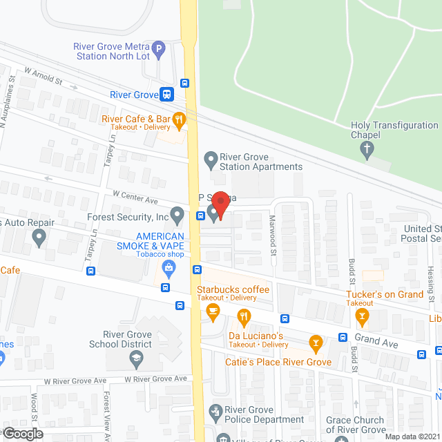 Professional Home Health Inc in google map