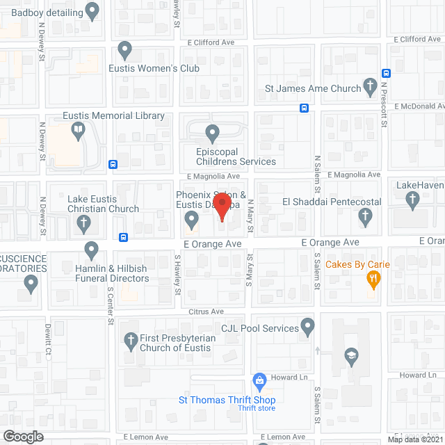 Asissting Florida Seniors Inc in google map