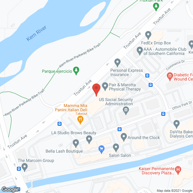 Domestic Care Agency in google map