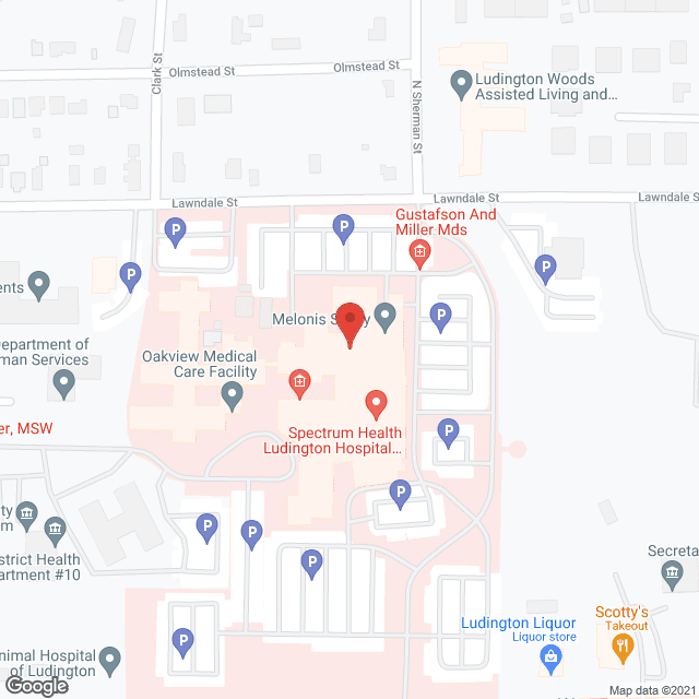 Hadley Center-Psychiatric Care in google map