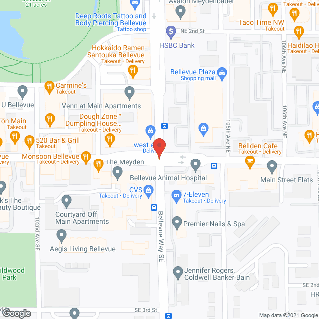 Vista Village of Bellevue in google map
