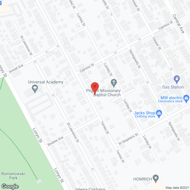 Thedosia Carter Adult Care #2 in google map