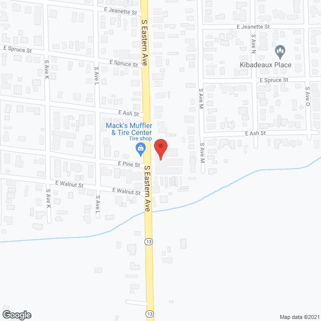 Bayou Village Nursing Ctr in google map
