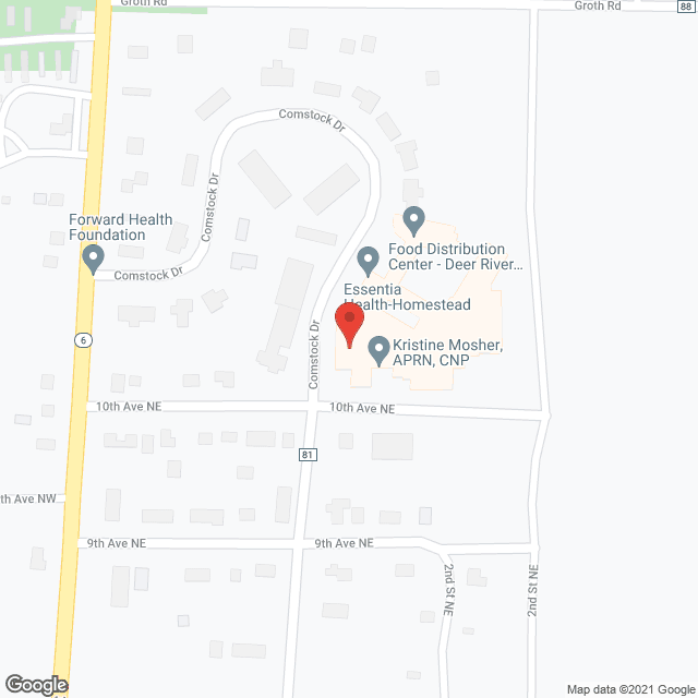 Homestead Nursing Home in google map