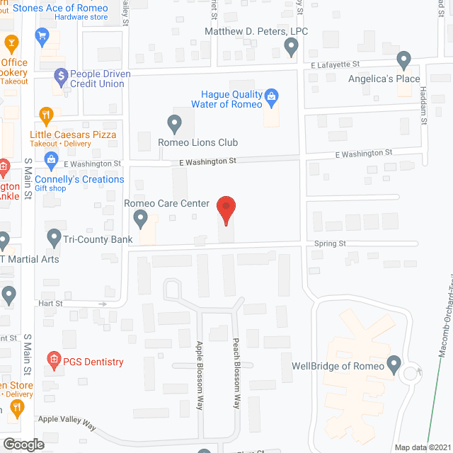 Romeo Nursing Ctr Inc in google map