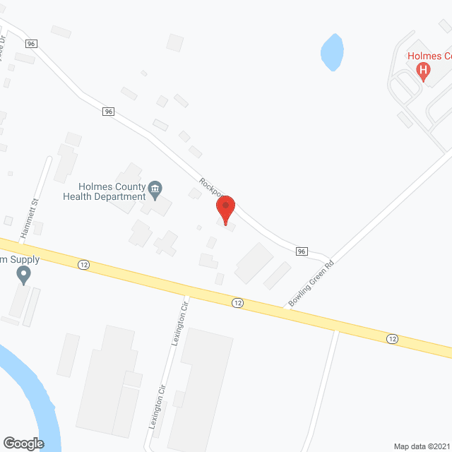 Lexington Manor in google map