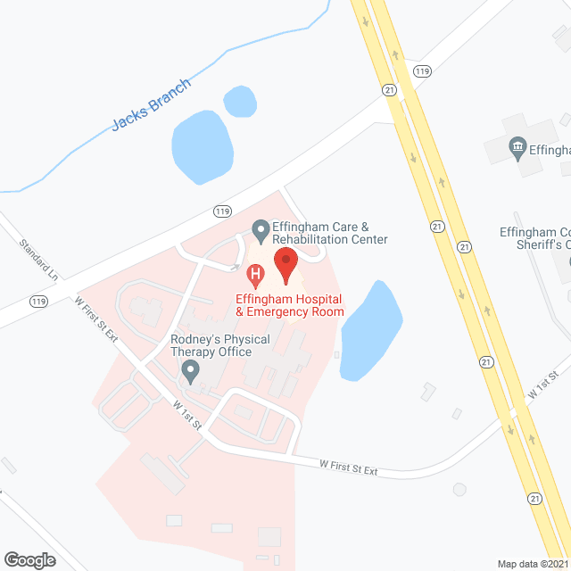 Effingham Hospital-Care Ctr in google map