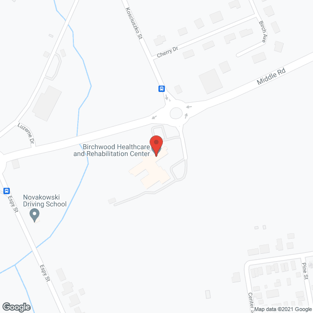 Birchwood Nursing & Rehabilitation Center in google map