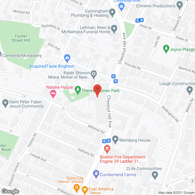Integrated Health Svc-Boston in google map