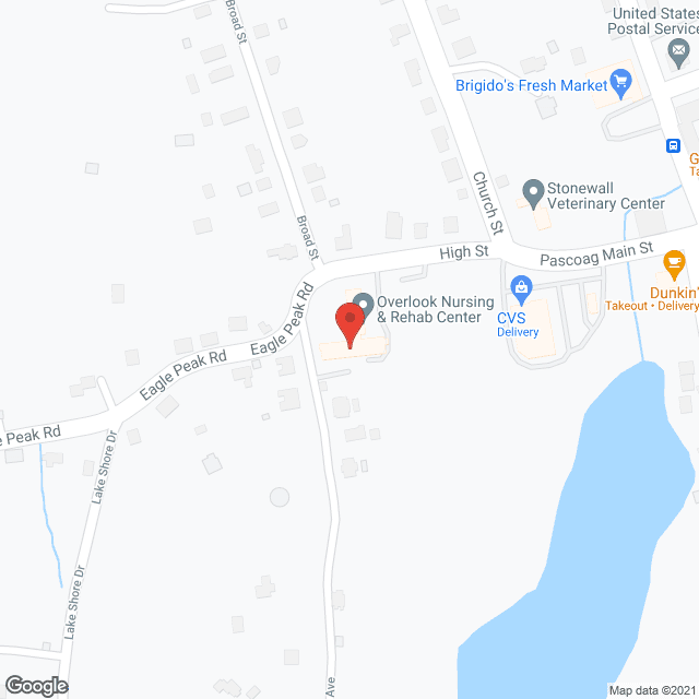 Overlook Nursing Home in google map