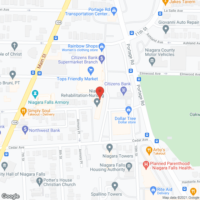 Niagara Geriatrics Ctr in google map
