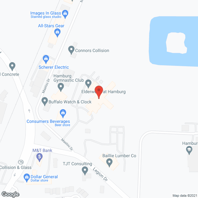 Elderwood Skilled Nursing at Hamburg in google map