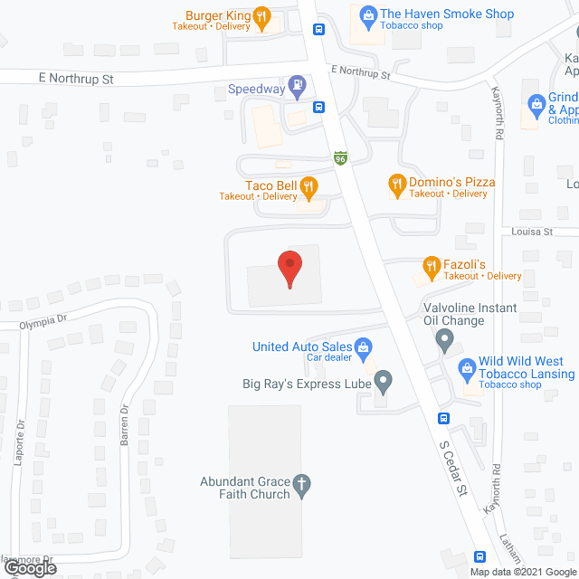 Assisted Living Alternatives in google map