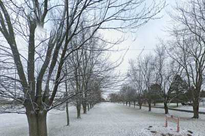 Photo of Maplewood Care Home