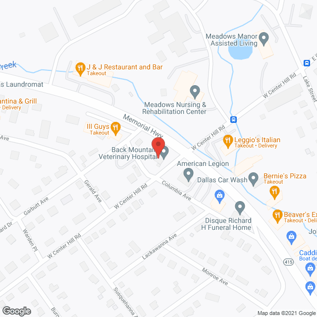 The Meadows Nursing Center in google map