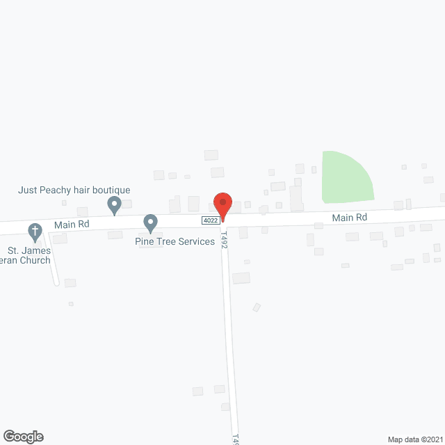 Friendly Nursing Home in google map