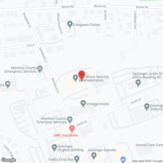 Grandview Health Homes Inc in google map