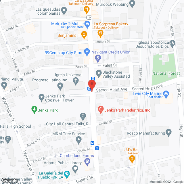 Blackstone Falls in google map