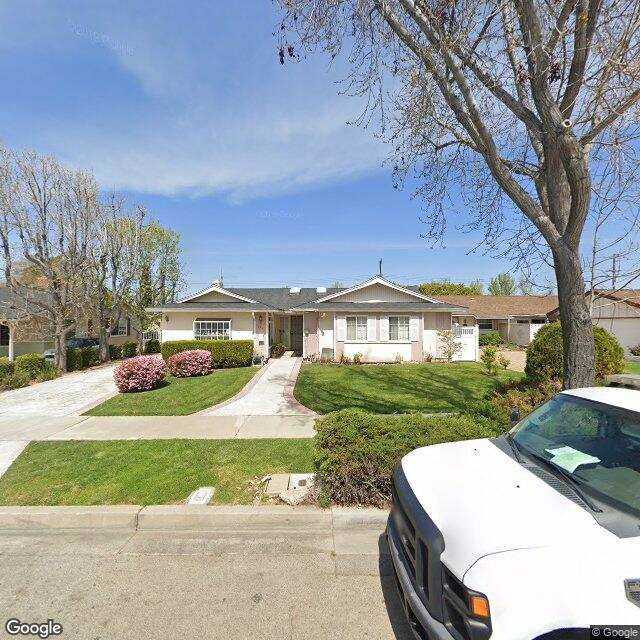 street view of Magnolia Tree