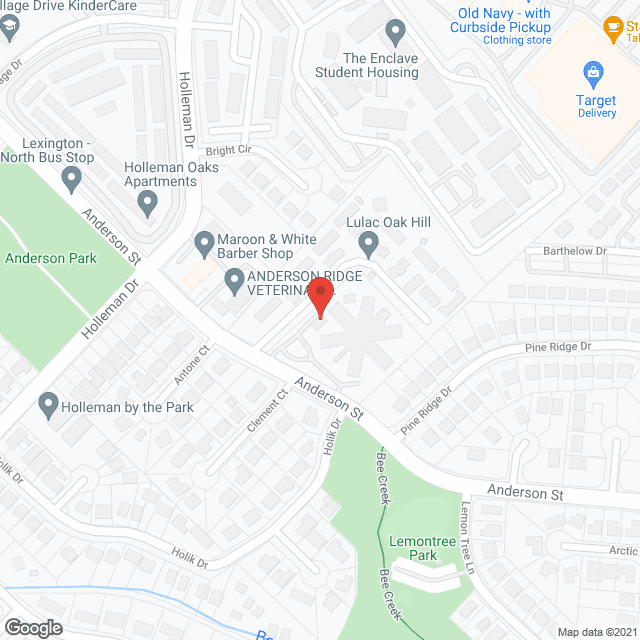 Brazos Valley Geriatric Ctr in google map