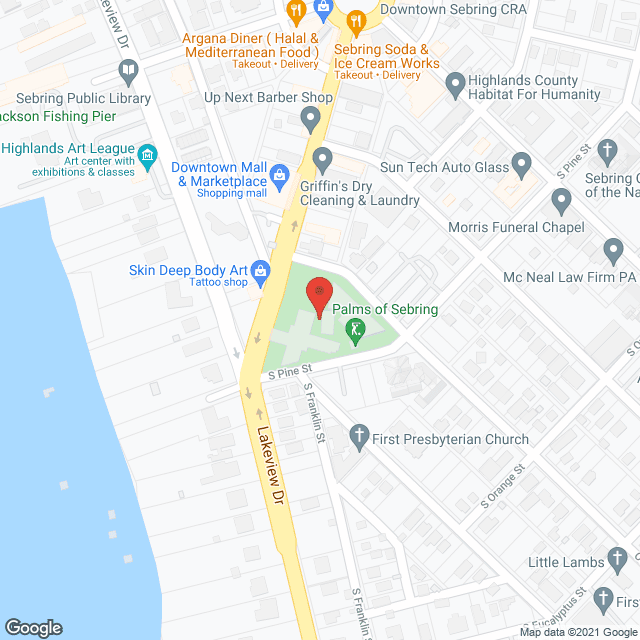 Palms Health Care Ctr in google map