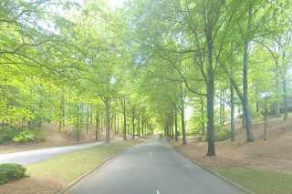 street view of Longleaf Liberty Park