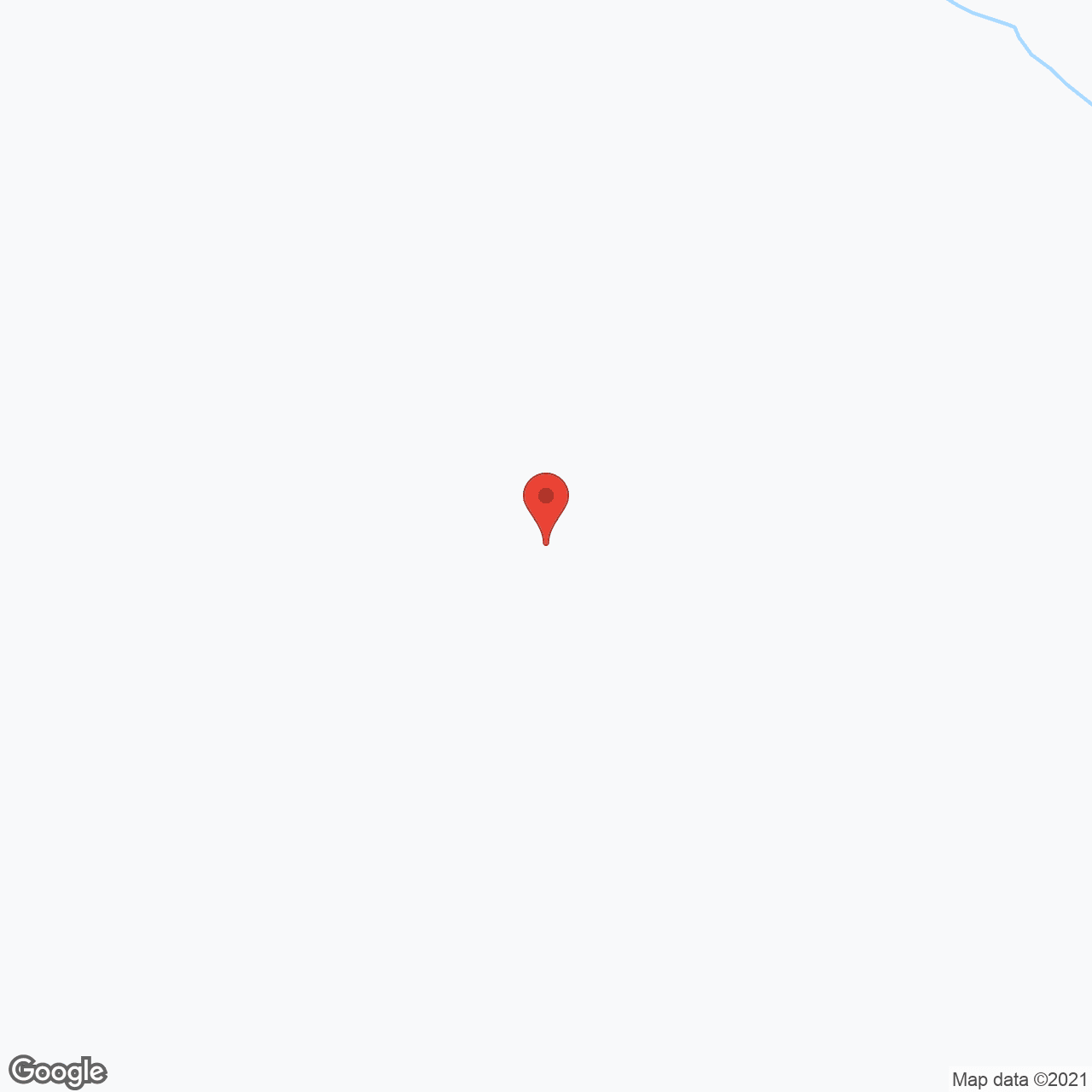 Wellmore of Daniel Island in google map