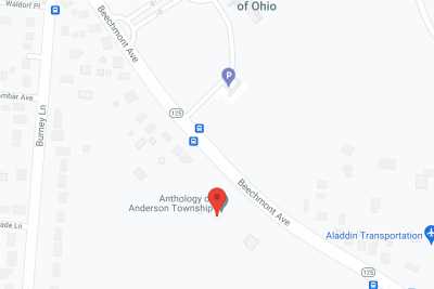 Anthology of Anderson Township in google map
