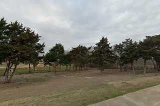 street view of Legacy Oaks of Midlothian Senior Living