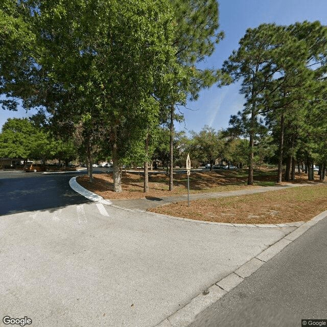 street view of Brookdale Dr. Phillips